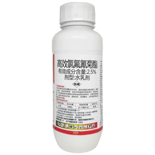 高效氯氟氰菊酯治什么害虫(氯氟氰菊酯农药治虫效果怎样)