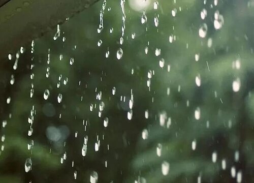 雨水浇花好吗 收集雨水浇花有什么好处