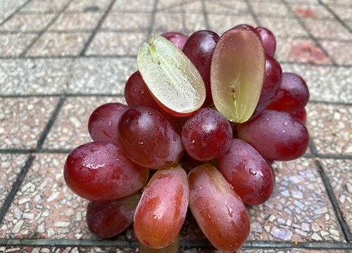 葡萄和什么不能一起吃 吃葡萄不能和什么食物同食