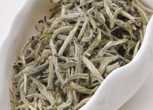 云南白茶属于什么茶