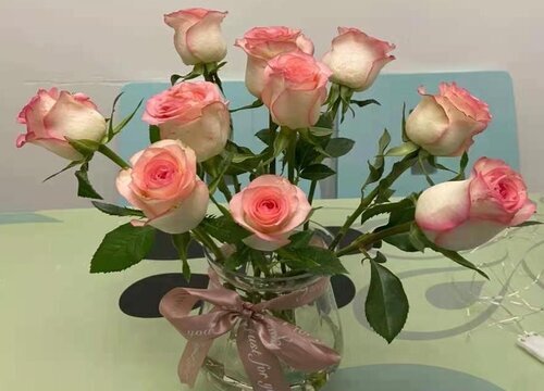 第一次送花给女朋友送什么花好(见女孩子第一面送什么花)