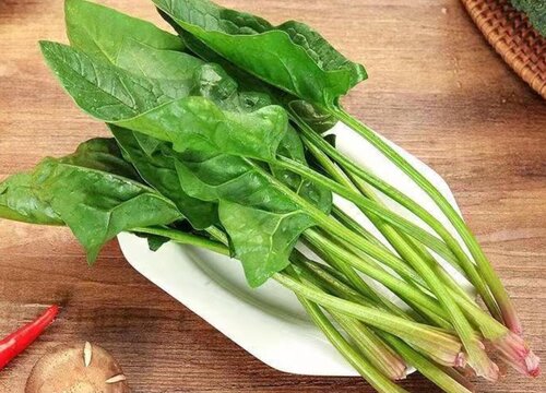 菠菜和什么不能一起吃 菠菜相克食物大全