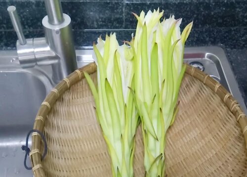 霸王花有什么作用