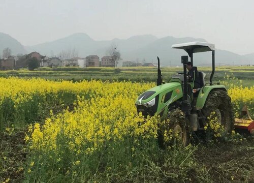 农作物为什么不能重茬（一看就懂哪些作物不能重茬）